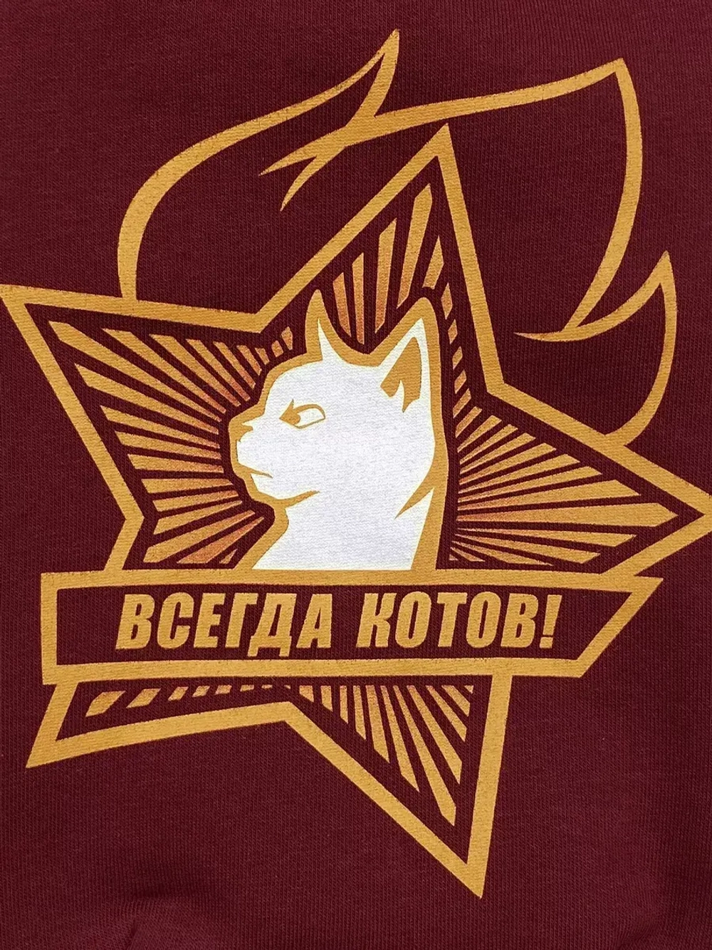 Одежда для сфинксов