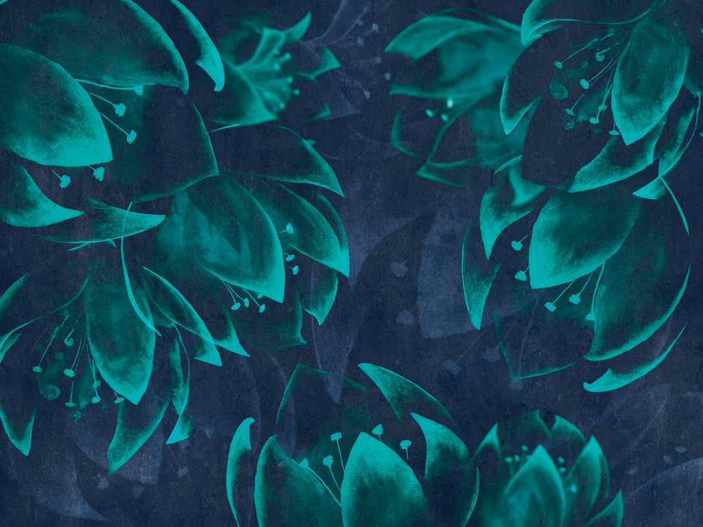 Коллекция AZURE