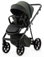 Детская коляска Adamex Delta Natura 3 в 1 DN-12-FOREST