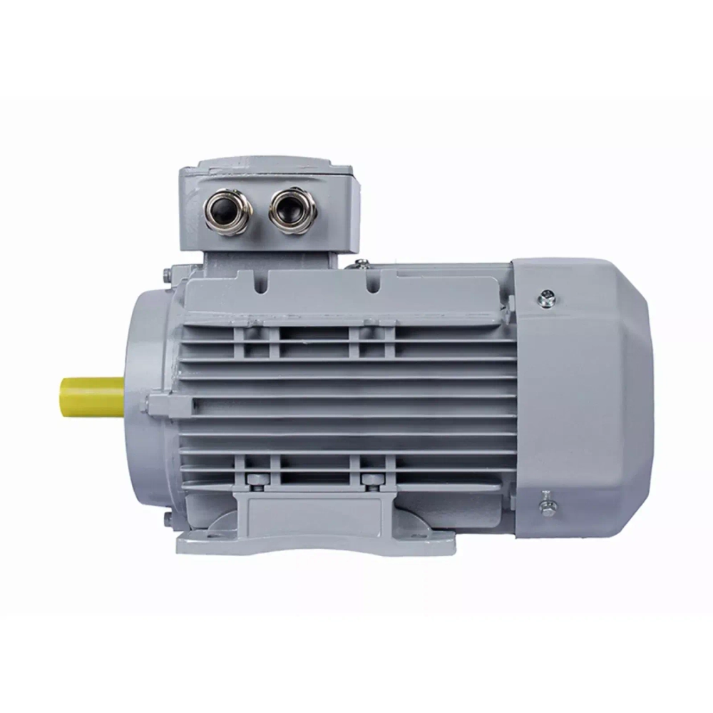 Электродвигатель ESQ PR 100 LB4-SDN-Б1-S12-IE3 3/1500 IMB34