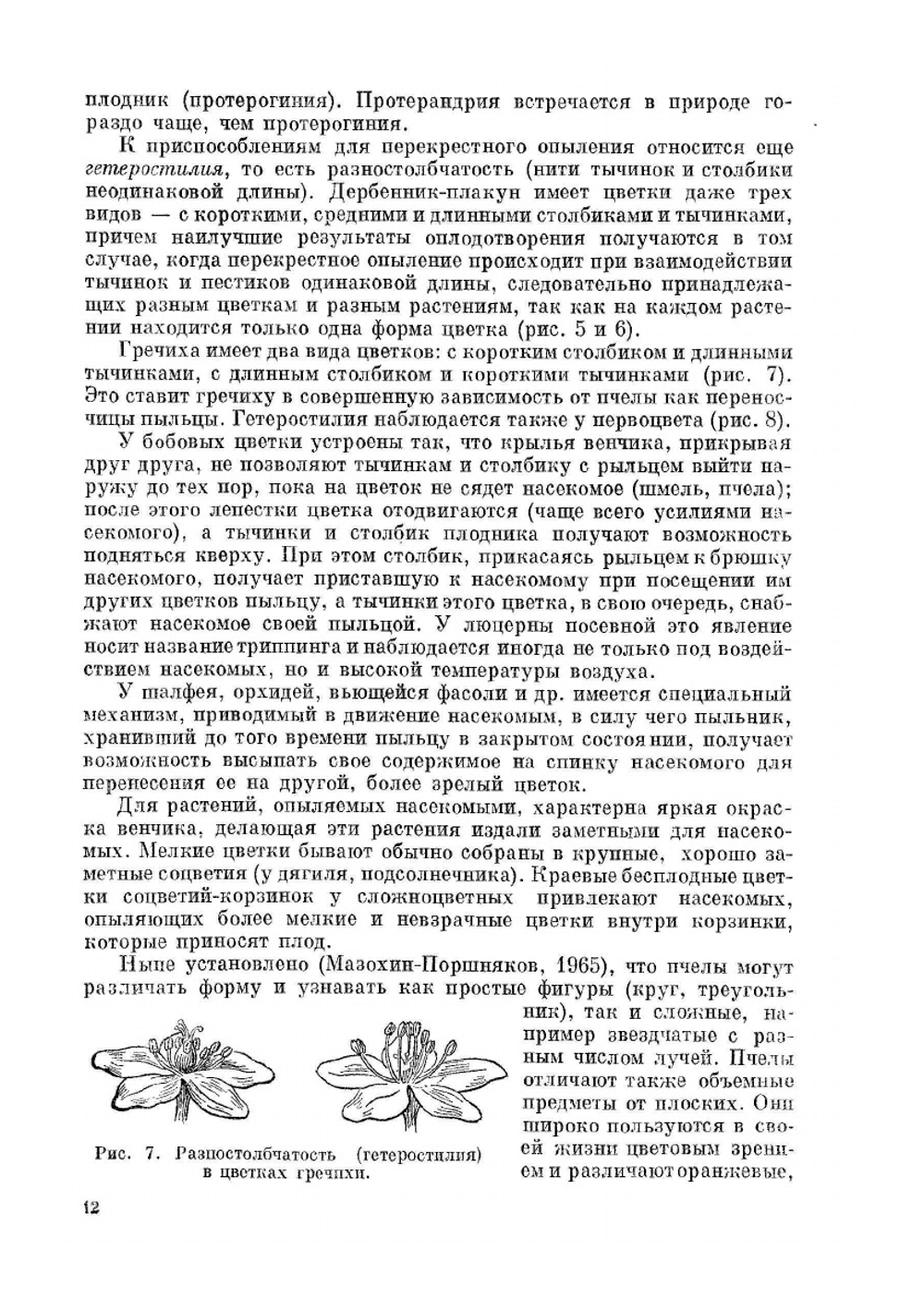 Медоносные растения | М.М. Глухов