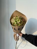 Кулек из гортензии в зеленом оттенке