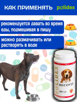 Polidex Recovit для собак, Кормовая добавка для восстановления организма после операций, травм, больших потерь крови, Полидекс Рековит, 150 таб