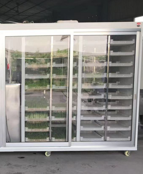 Камера для проращивания растений MN-500M