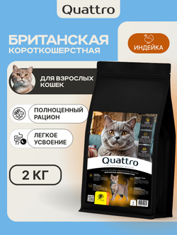 Корм сухой для кошек породы Британская короткошерстная, с индейкой, 2 кг, QUATTRO