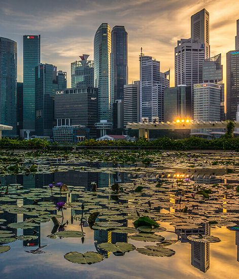 Fleurs de Fruit, свеча Urban senses collection, Ladenac Milano