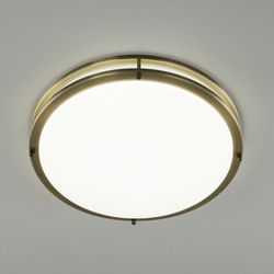 Накладной светильник Citilux Бостон CL709503N