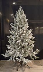 Ель Заснеженная «Нордман» (Литая хвоя) 210 см / 2.1 м