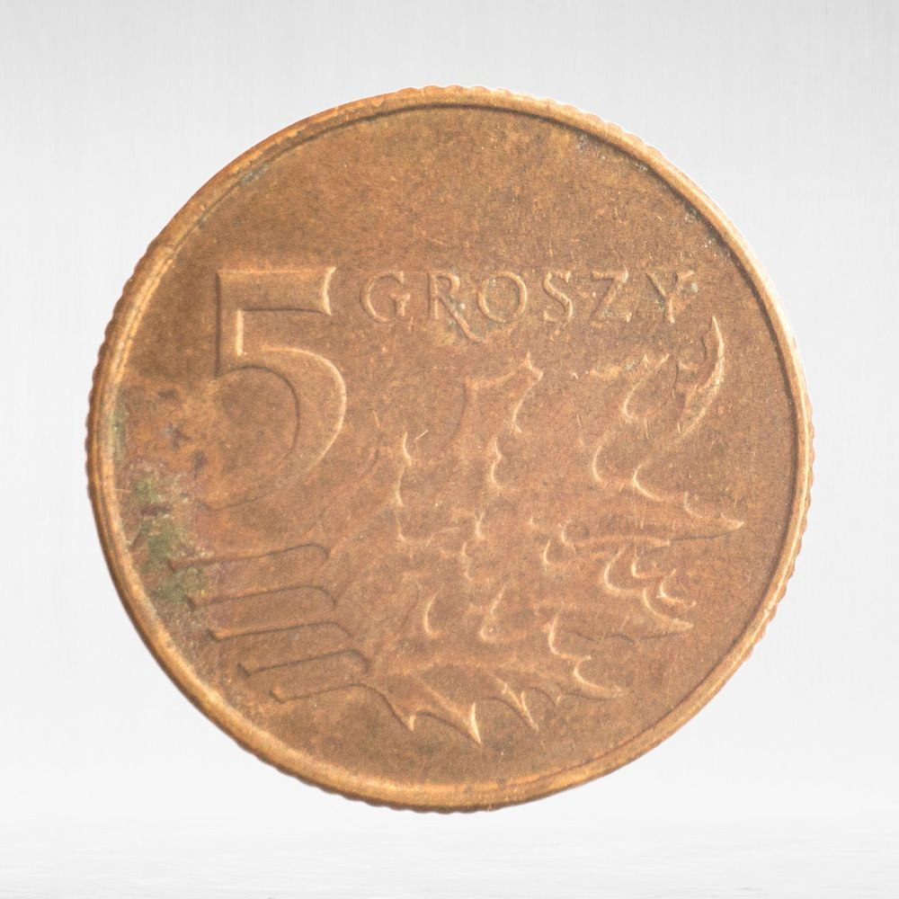 Poland, 5 Groszy, 2011, VF