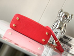 Louis Vuitton Capucines Mini