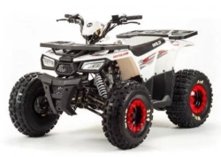 Квадроцикл Motoland 125 WILD (2020 г.)