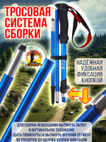 Палки для трекинга, скандинавский ходьбы/ телескопические Carbon pole EVA grip /2 шт, цвет черный