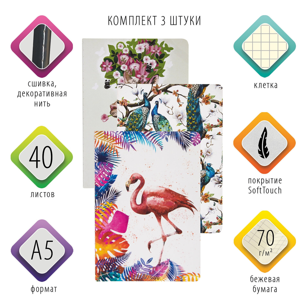 Тетради 40 л. в клетку обложка SoftTouch набор 3 шт. бежевая бумага 70 г/м2 сшивка А5 (147х210 мм) SUMMER BRAUBERG (2 штуки в упаковке)