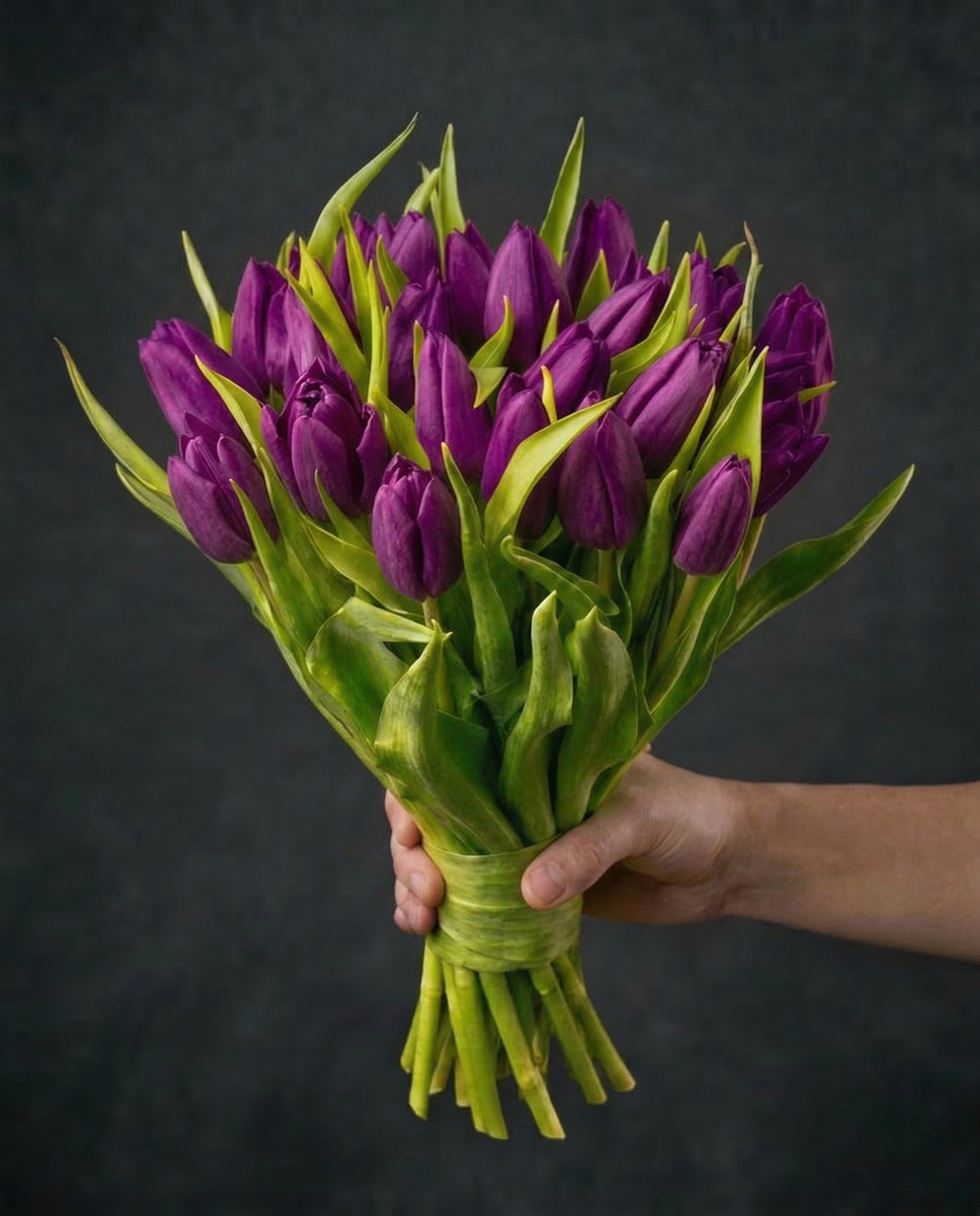 Тюльпаны сиреневые