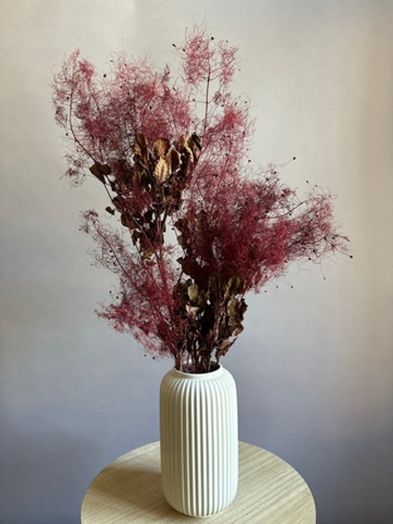 Котинус стабилизированный бордовый