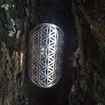 Кольцо ЦВЕТОК ЖИЗНИ, серебро