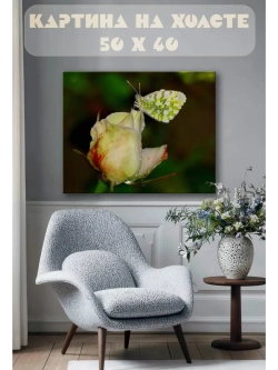 Картина на стену 40 X 50 Бабочка и цветок