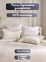 Наволочка декоративная, чехол на подушку на молнии, 2 шт, бархат, 50х70 см