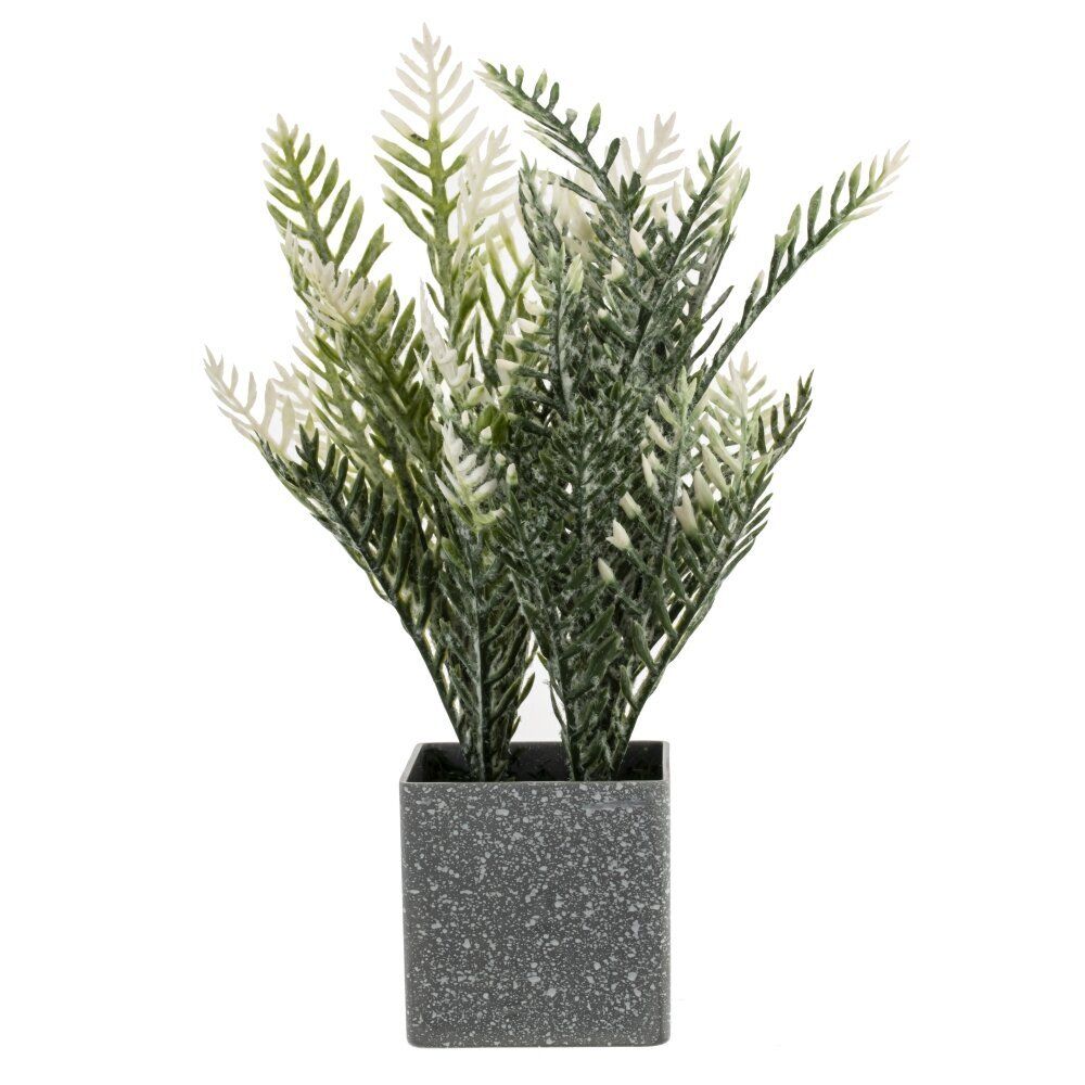 GAEM Цветочная композиция "Лаванда", L10 W10 H40 см