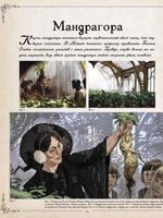 Гарри Поттер. Фантастические существа