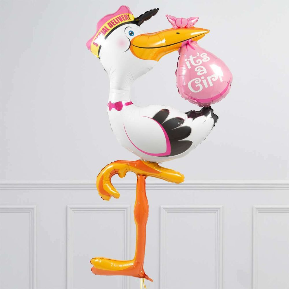 G Аист ходячий выписка девочка (БГ-60)  Изображение5