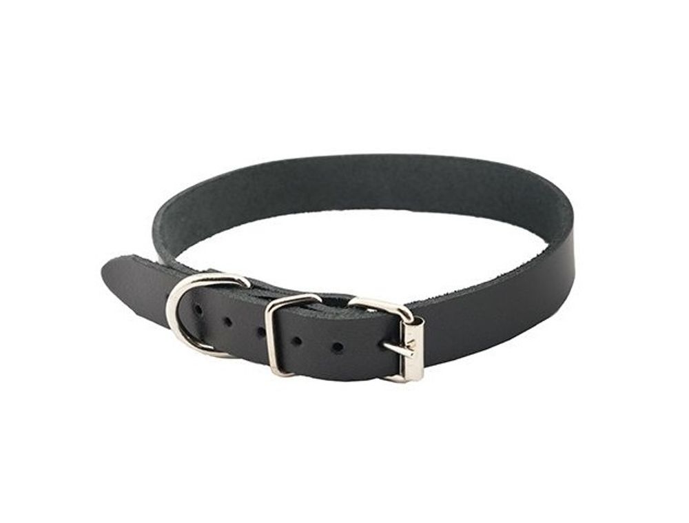 Ошейник "Чип"  из кожи черный для собак 14 мм обхват шеи 30-36 см.