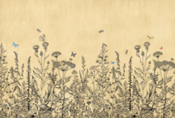 Коллекция Flora