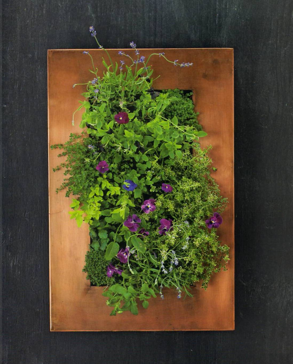 The Plant Recipe Book: 100 Living Arrangements for Any Home in Any Season