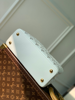 Louis Vuitton Capucines MM