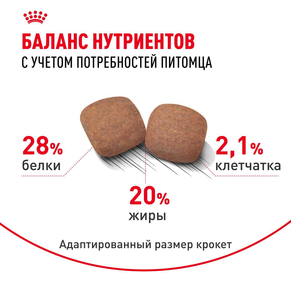 Royal Canin Giant Adult Корм сухой для взрослых собак очень крупных размеров 15 кг