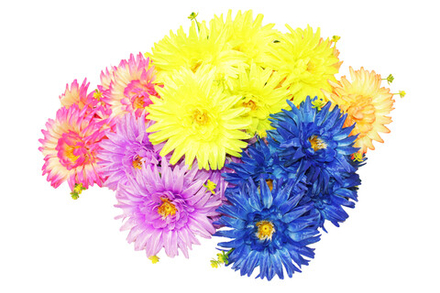 Букет астр Яркий