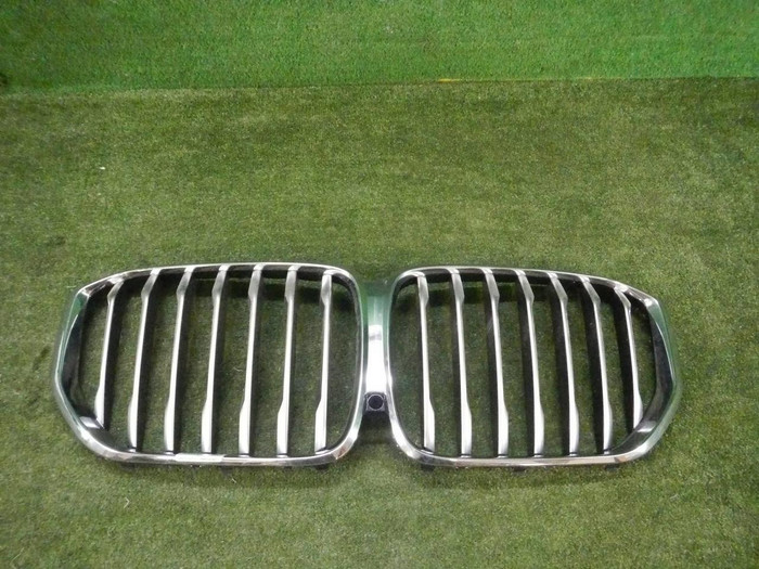 Решетка радиатора BMW X5 G05 (2018-2023)