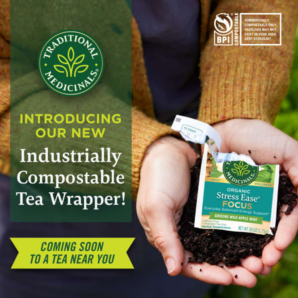 Traditional Medicinals, Organic Stress Ease® Focus, женьшень, дикое яблоко и мята, без кофеина, 16 чайных пакетиков в упаковке, 28 г (0,99 унции)