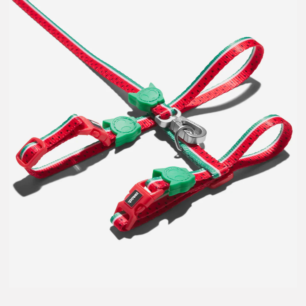 Шлейка+поводок LOLA Zee.Cat