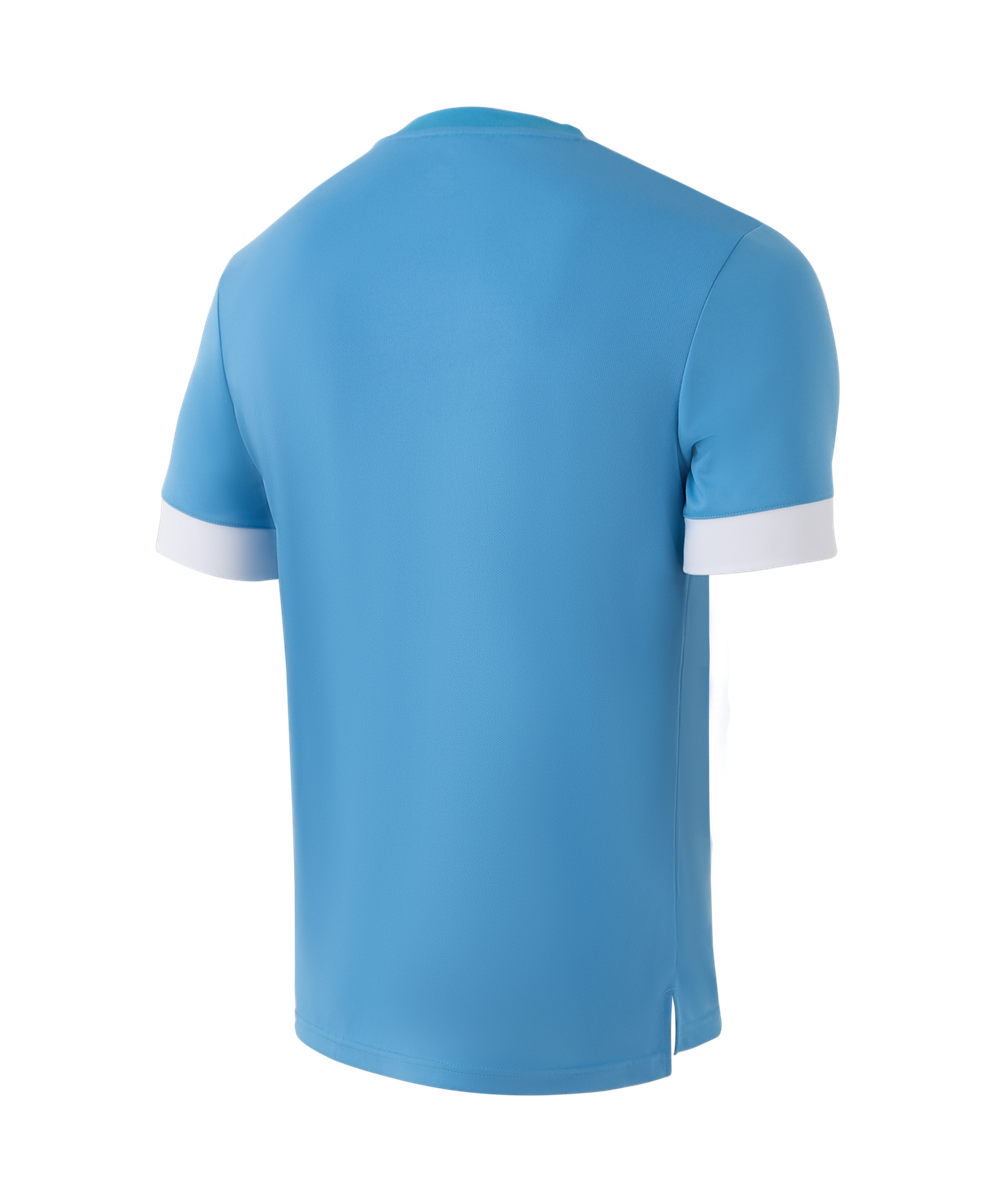 Футболка игровая DIVISION PerFormDRY Union Jersey, голубой/белый/белый