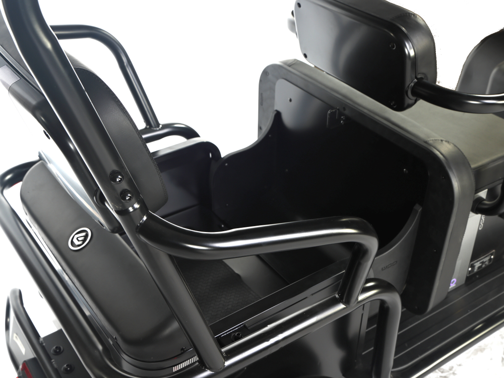 Электротрицикл Wanshida NIPLA 570 (1000Вт, 60B)