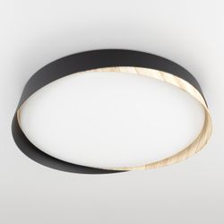 Citilux BONNY CL754350G LED RGB Светильник с пультом Белый+Венге