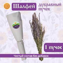 Шалфей дубравный пучок.
