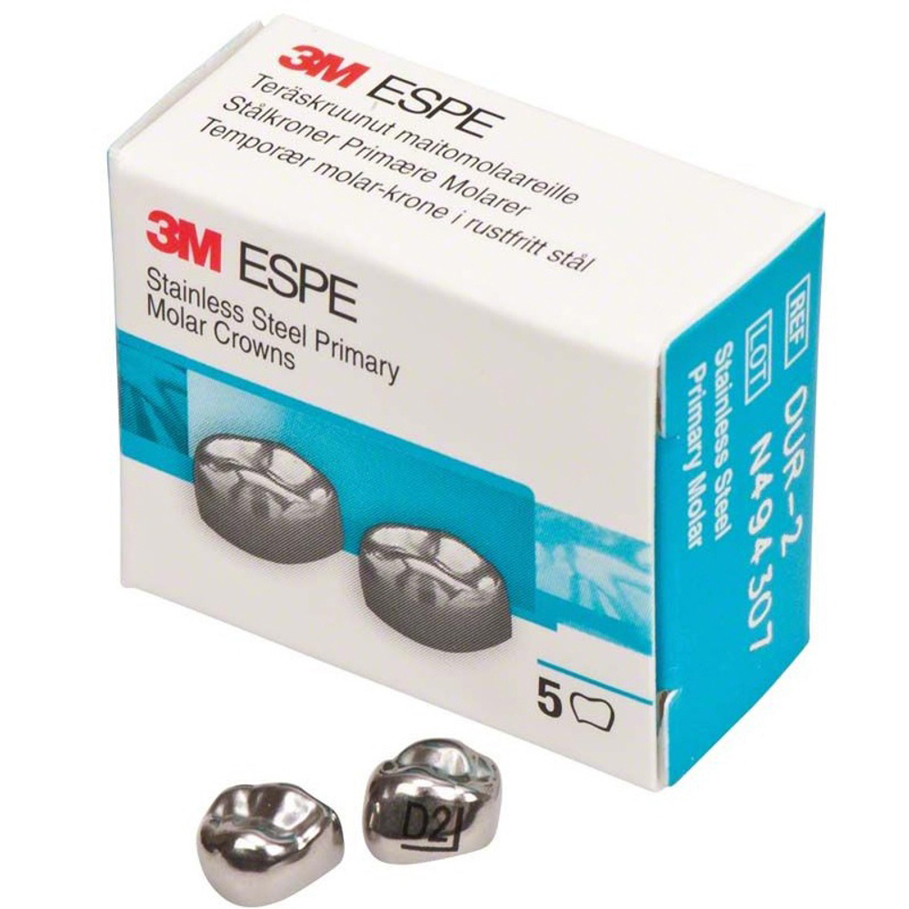 Первый верхний правый моляр, размер 2 (D-UR-2)