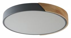 Накладной светильник Zortes Alberro ZRS.01280.36