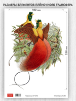 Трансфер для декупажа переводной рисунок для поверхностей новинка 010