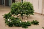 Ель искусственная «Милано» (литая хвоя) 240 см / 2,4 м