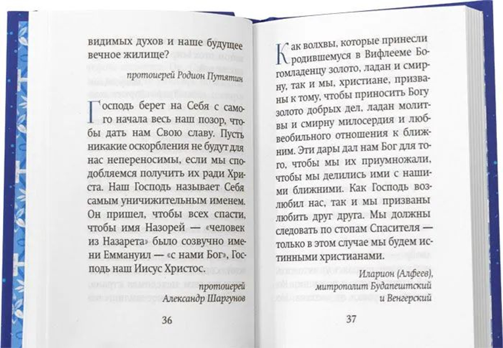 Рождественский цветник: карманный формат