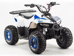 Квадроцикл MOTOLAND (МОТОЛЕНД) 110 EAGLE