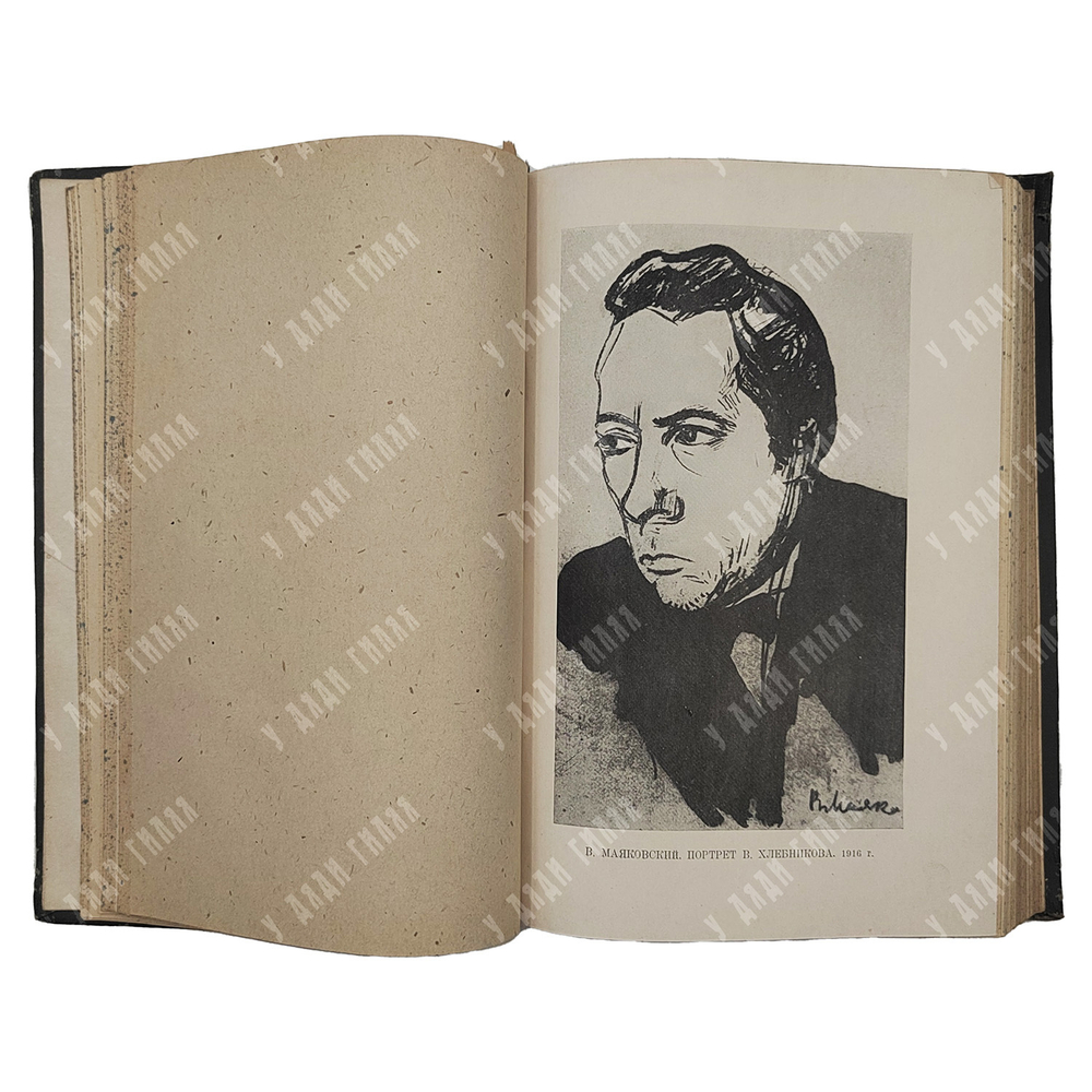 Хлебников Велимир. Избранные стихотворения. Редакция Н. Степанова. 1936 г.