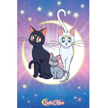 Постер ABYDCO792 SAILOR MOON Luna, Artemis and Diana