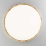 Потолочный светильник Citilux Бейсик Клен CL738322V