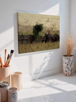 Картина на стену 40 X 50 Мужчина в поле