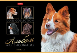 whi06mo07vdk3z5gvt0e2i5phjj8bdnr