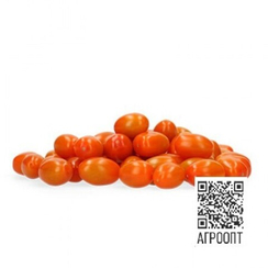 Кипри F1 семена томата (Rijk Zwaan / Райк Цваан)